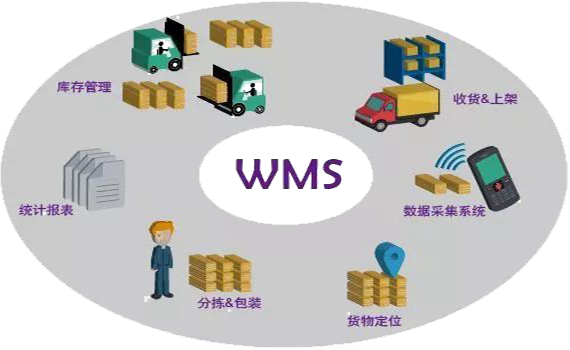 如何根据企业实际需求挑选高效、灵活的WMS系统
